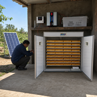 Incubateur solaire à économie d'énergie, facile à utiliser, 3168 œufs, taux d'éclosion élevé, retournement automatique des œufs, poulet/canard/autruche/caille, nouveau