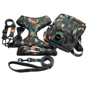Correa de seguridad de diseño personalizado para perro, conjunto de arnés para perro, bolsa de regalo para Parque de mascotas - Product Image 1