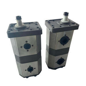 Pompe à double engrenage en alliage d'aluminium haute pression HuamaoTopSal, qualité garantie, utilisée dans les systèmes hydrauliques et possibilité de personnalisation. - Product Image 2