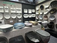 Articles sanitaires européens de haute qualité porcelaine blanche mate WC suspendu cuvette de toilette salle de bain toilettes suspendues ensemble de toilette salle de bain