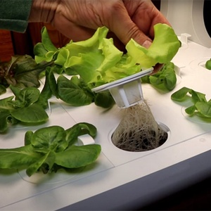 Kit de Sistema de Cultivo Hidropónico Interior, Sistema de Cultivo Automático, Jardín Inteligente con Luz LED - Product Image 4