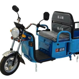 Triciclo Motorizado Eléctrico de Doble Propósito con Carrocería Abierta, Certificado EEC, 1.1m, 2 Pasajeros, 400kg, Suministro de Fábrica - Product Image 1