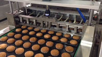 Ligne de production de gâteaux semi-automatiques, machine à muffins de haute capacité, boulangerie multi-gâteaux, machines alimentaires avec four rotatif