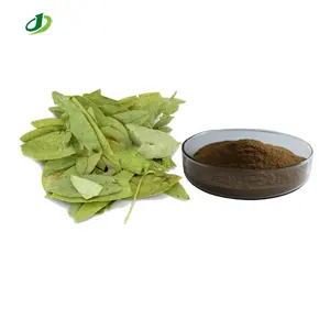 Senna-Blätter-Extrakt Cassia angustifolia-Extraktpulver 20:1