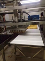 Machine à démouler les gâteaux automatique multifonctionnelle Wanlisonic, nouvelle machine de boulangerie en acier inoxydable pour le pain et les gâteaux