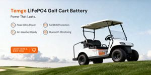 แบตเตอรี่ลิเธียมพร้อมที่ชาร์จจอ LCD รถเข็นกอล์ฟ100Ah 3-7วัน LiFePO4แบตเตอรี่ลิเธียม200A รถกอล์ฟ - Product Image 2