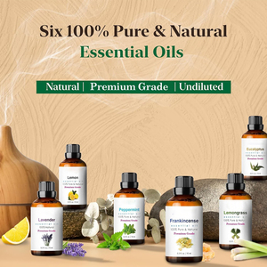 Ensemble d'huiles essentielles en marque propre 10ml*6 Huiles d'aromathérapie naturelles pures Eucalyptus Citronnelle Lavande <span class=keywords><strong>Orange</strong></span> Tea Tree Menthe poivrée - Product Image 4