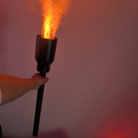 Lampe à motif de chouette forestière, flamme verte, brasero, feu vert, paysage, steppe, feu de camp, lampe à motif de torche de fête, flammes
