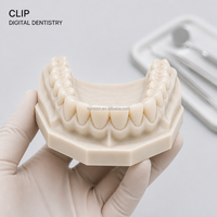 Modelo Dental de Resina Biocompatible Impreso en 3D CLIP, Producción de Interfaz Líquida Continua de Alta Precisión, Laboratorio Dental Personalizado OEM