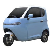 Scooter de mobilité fermé à 3 roues certifié L2e EEC COC, mini tricycle électrique pour adultes, aucun permis de conduire requis