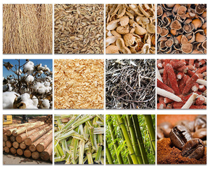 मोटरयुक्त कृषि अपशिष्ट बायोमास ब्लॉक प्रेस और पुआल स्ट्रिपिंग कुशल ब्रिकेट बनाने की मशीन - Product Image 5