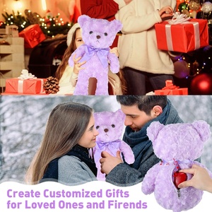 Module d'enregistrement vocal 60 secondes, ours en peluche doux et mignon de 16 pouces avec boîte à musique à fermeture éclair, enregistrable, cœur - Product Image 5