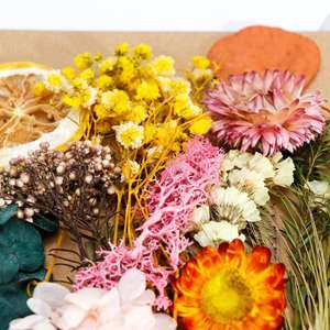 Hoa Khô Khuôn Nhựa Resin Hoa Ép Để Trang Trí Nhà Cửa Phụ Kiện Thủ Công Mỹ Nghệ Nhựa - Product Image 5