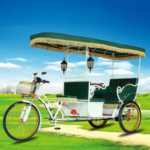 Bicicleta eléctrica para 3 personas, quadricycle importada, 2/4 asientos, en venta