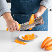 Multifunctionele Roestvrijstalen Keukengereedschap Handheld Groentesnijder Fruit Dunschaar Rasp Knoflookpers Fruitschiller