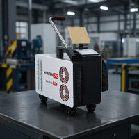 Machine de nettoyage laser 200W 300W pour la restauration du bois, le décapage de peinture, le nettoyage des moisissures et la rénovation de meubles