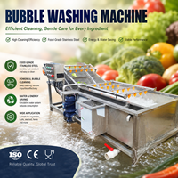 Automatische belletjeswasmachine voor groenten, fruit, vis, vlees en voedselverwerkingsfabrieken