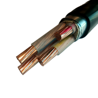 Cable de Alimentación Revestido de Fabricante de Cables, Armadura de Banda de Acero, Baja Tensión 0.6/1kv, 3 4 5 Núcleos, Minería Subterránea, Túnel Industrial