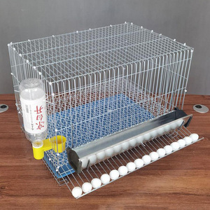 Gabbia Antirottura per Galline Ovaiole da Giardino, Gabbia per Allevamento Polli in Filo Zincato, Gabbia per Pappagalli e Quaglie - Product Image 1