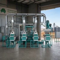 Moulin à farine multifonctionnel à quatre unités pour blé, maïs et riz