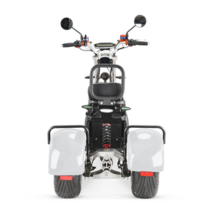 Tricycle électrique à trois roues de haute qualité 2026 à vendre, 4000w, double moteur, double batterie 60v40ah - Product Image 6