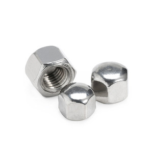 น็อตหกเหลี่ยมหัวโดม DIN 917 เมตริก M3 ถึง M20 สแตนเลส DIN917 - Product Image 4