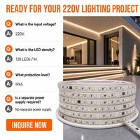 Ruban LED linéaire SMD sans driver 220V 120 LED/m IP65 étanche en silicone pour décoration intérieure et extérieure - Vente en gros usine