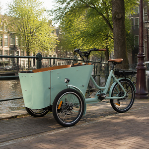 <span class=keywords><strong>Bici</strong></span> <span class=keywords><strong>Cargo</strong></span> elettriche dirette in fabbrica per la vendita Green Life Front Load elettrico <span class=keywords><strong>Cargo</strong></span> Bike elettrico 3 ruote <span class=keywords><strong>bici</strong></span> adulti - Product Image 5