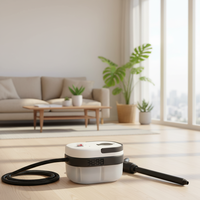 Nettoyeur Vapeur Multisurfaces 1,1L avec Réservoir d'Eau, Tuyau de 2m, Portée de Vapeur 34-47g, Déclencheur de Vapeur Verrouillable pour Nettoyage en Profondeur à Domicile - Offre Spéciale