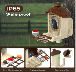 Cámara para Comedero de Aves de Alta Calidad al por Mayor, 2K HD, Panel Solar, Tarjeta de 32 GB, 4 en 1, Percha, Disfruta de la Observación de Cerca, Inalámbrica, para Exteriores - Product Image 2