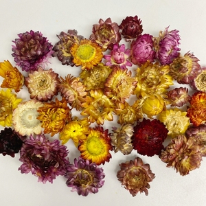 Colorante fiore sfuso naturale biologico secco colorato crisantemo intero fiore erbe sciolte tè Detox Slim <span class=keywords><strong>Te</strong></span> - Product Image 2