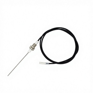 Aiguille d'allumage avec fil <span class=keywords><strong>de</strong></span> 900 mm - Ensemble d'électrodes d'allumage, accessoires <span class=keywords><strong>de</strong></span> chauffage pour la réparation à domicile et en hôtel - Product Image 4