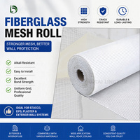Rete in Fibra di Vetro AR per Rinforzo Gesso, Rotoli di Fibra di Vetro per Riparazione Crepe e Giunti di Cartongesso, 45gsm 100gsm 8*8