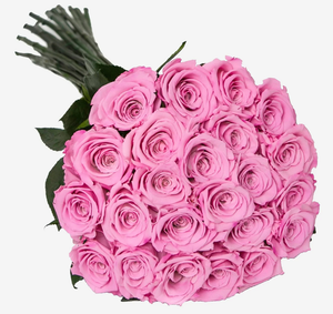 Rosas de tallo largo preservadas reales Eternity Infinity Forever Roses <span class=keywords><strong>Rosa</strong></span> <span class=keywords><strong>eterna</strong></span> de larga duración con tallo para decoración del hogar de bodas - Product Image 3