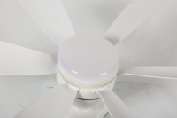 Ventilateur de plafond pour cuisine, ventilateur de plafond avec douille pour ampoule E27, ventilateur de plafond avec télécommande