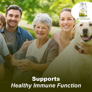 Complexe d'acides aminés pour adultes en gros, capsules de 2000 mg, 60 pièces |   Complément alimentaire pour soutenir la résistance immunitaire, 2 capsules par portion - Product Image 6