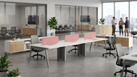 Poste de travail de bureau commercial pour 6 personnes, avec structure en acier, facile à assembler et doté d'un système de gestion des câbles