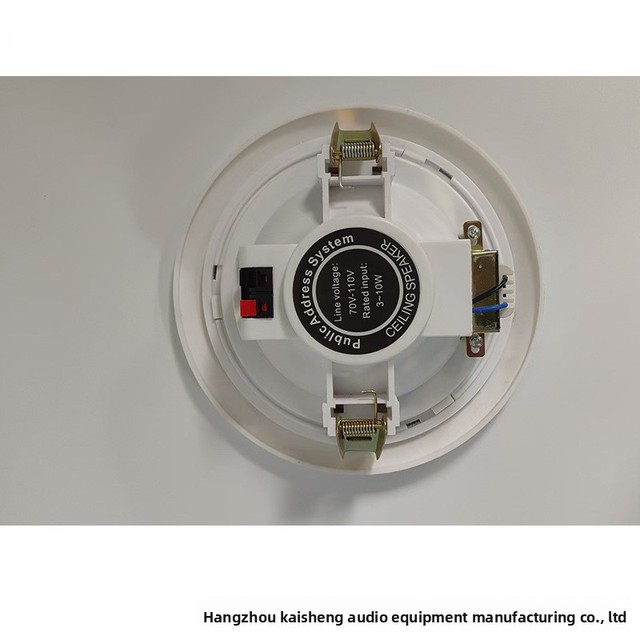 Custom Supply Cadis Ceiling-Mounted & Wall-Mounted Speaker Radio Function Mono Audio Button Control for Broadcasting Systems