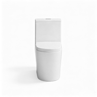 WC à siphon en S en gros, très demandé ; Ensemble WC et articles sanitaires pour salle de bain ; WC monobloc en céramique ; Idéal pour les projets hôteliers.