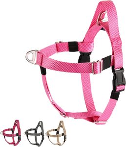 Ensemble de laisse et de harnais pour chien de grande taille, en nylon tactique robuste, rembourré, anti-traction, réglable - Product Image 1