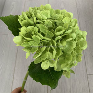 B-729 <span class=keywords><strong>Comprar</strong></span> al por Mayor Decoración para el Hogar, Hortensia Verde Artificial, Flores de Tacto Natural, Tallo Único, Rama Larga, Hortensia de Látex - Product Image 1