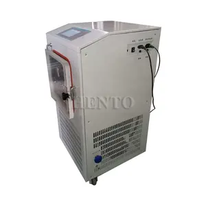 High Output Strawberries Vacuum Freeze Dryer Machines / Freeze Vacuum Drying Cabinet 220V / Drying Machine Food