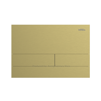 Plaque de chasse d'eau dissimulée pour toilette à double chasse en acier inoxydable 304 brossé
