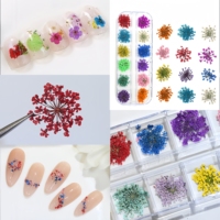 MyBeautyNails – Lot de 12 couleurs de fleurs séchées naturelles pour décoration d'ongles, compatibles avec le gel de construction et les moules à ongles