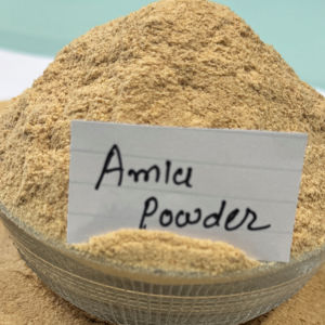 Poudre d'Amla Sauvage Certifiée Fraîcheur en Vrac, Fabrication Personnalisable sous Marque Privée, Extrait Herbal Naturel, Emballage Sous Vide - Product Image 1