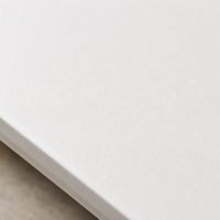 Dalle de pierre frittée Moonshine White de 3 mm, légère, mate, unie, pour la décoration intérieure des murs, projets résidentiels et commerciaux