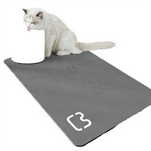 Tapis de bain en pierre de diatomite antidérapant fabriqué à la machine, avec dos en caoutchouc, solide, écologique, confortable, coussin moderne, forme personnalisée - Product Image 4