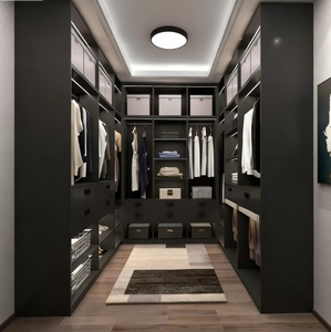 <span class=keywords><strong>Dressing</strong></span> contemporain élégant avec un grand espace de rangement et des étagères modulaires pour la rénovation de chambres résidentielles de luxe - Product Image 1