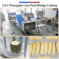 Ananas-snijlijn 500-1000kg/u, inclusief ponsen, ontpitten, splitsen, sorteren en snijden voor fruitfabrieken