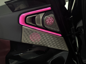 Ensemble dynamique Rainbow Symphony de huit pièces, couvre-haut-parleurs lumineux, lumière ambiante pour <span class=keywords><strong>BMW</strong></span> X3 (2025-) - Product Image 3